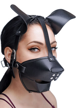 Pup Puppy Play Hood and Breathable Ball Gag